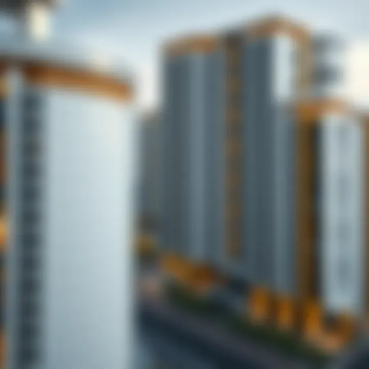 Magnificent Beneficiaries of the Zayed Housing Program in 2023