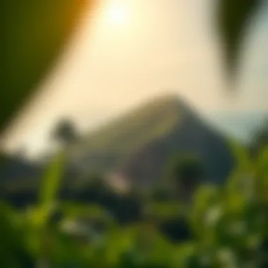 Lush natural landscapes and unique wildlife on Al Maria Island