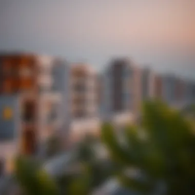 Notable Beneficiaries of the Zayed Housing Program in 2023 Notable Beneficiaries of the Zayed Housing Program in 2023