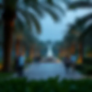 Recreational Activities at Central Park Al Reem Visitors enjoying recreational activities in Central Park Al Reem