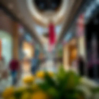 Diverse Retail Experience at Al Barsha Mall Vibrant shopping scene within Al Barsha Mall's retail space