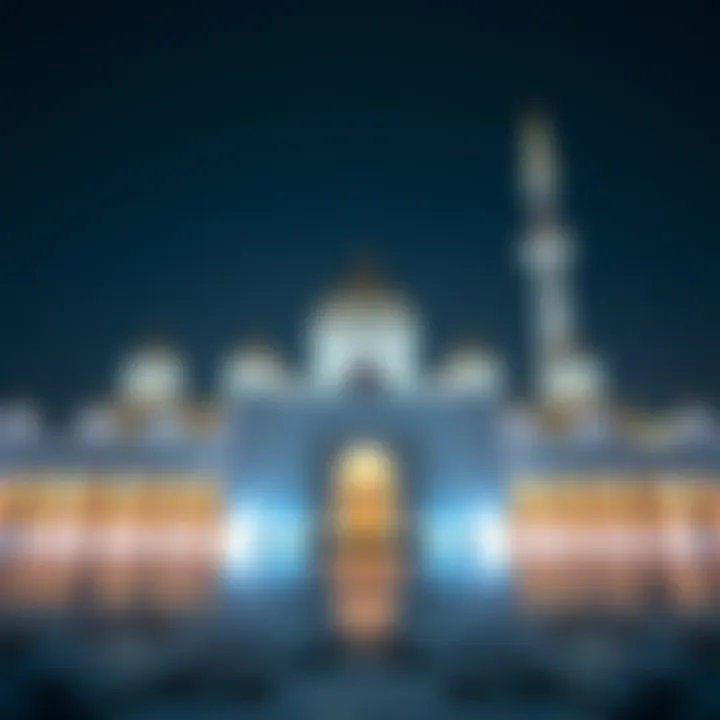 The intricate design of Sheikh Zayed Mosque