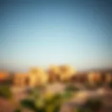 Exploring Liwa Village: A Hidden Gem with Rich Heritage Introduction