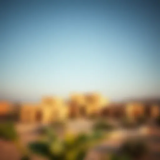 Exploring Liwa Village: A Hidden Gem with Rich Heritage Introduction