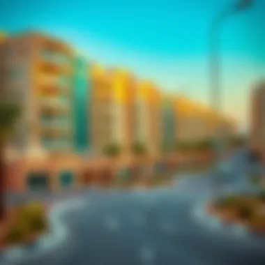 Exploring the Zayed Housing Project: A Comprehensive Overview Summary Exploring the Zayed Housing Project: A Comprehensive Overview Summary