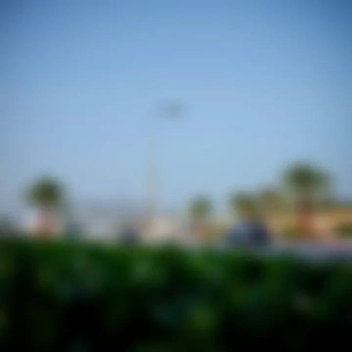 Notable Exploring Wasl Green Park in Ras Al Khor: A Study of Urban Green Spaces in Dubai
