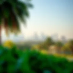 Breathtaking view of Khalifa Park showcasing its lush greenery