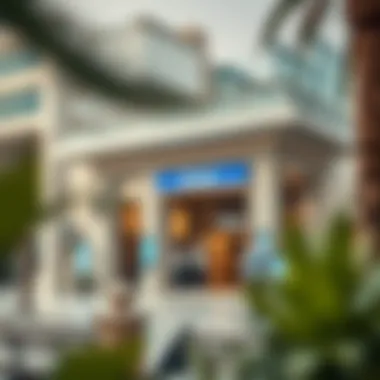 Banking for Expatriates in Dubai Expatriate banking options in Dubai