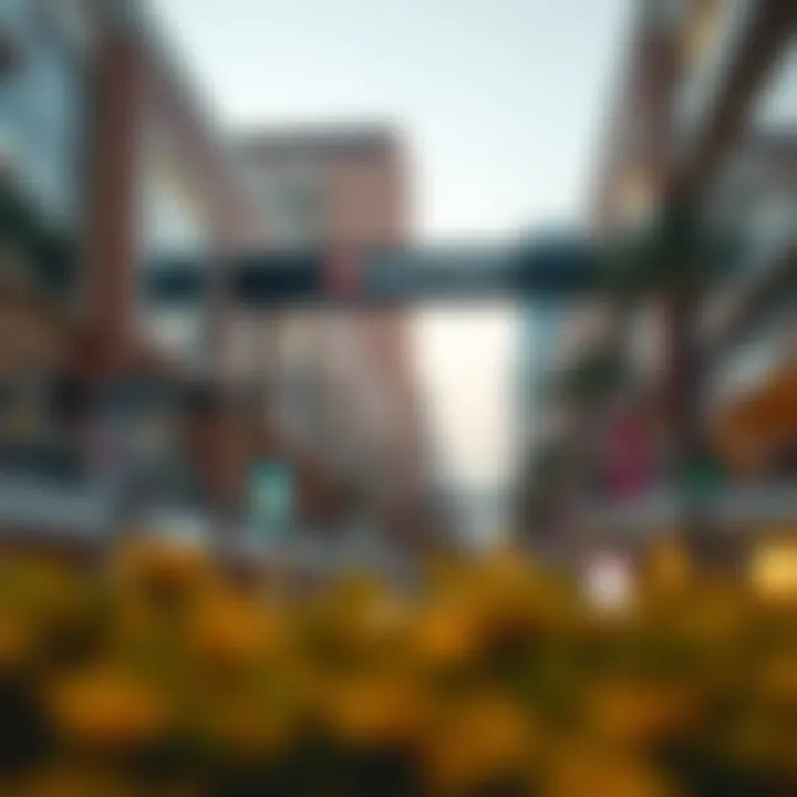 Understanding the Location of Outlet Malls in Dubai Introduction